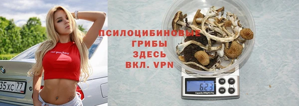 индика Гусев