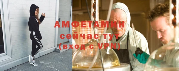 индика Гусев