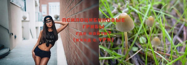 индика Гусев