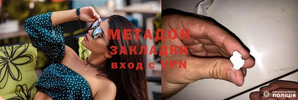 индика Гусев