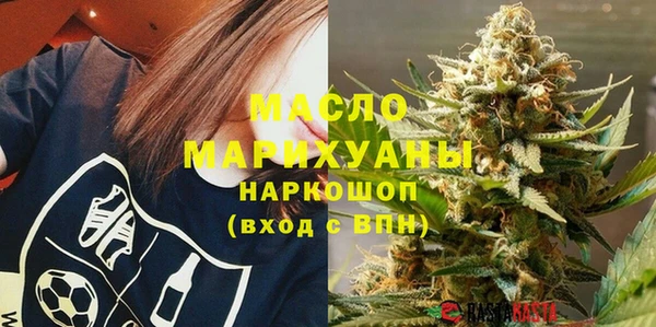 индика Гусев