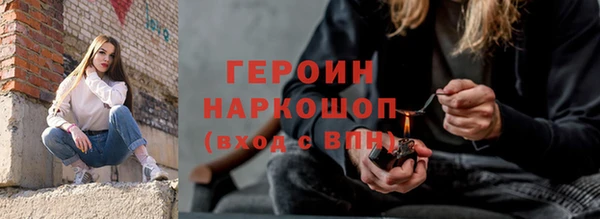 индика Гусев