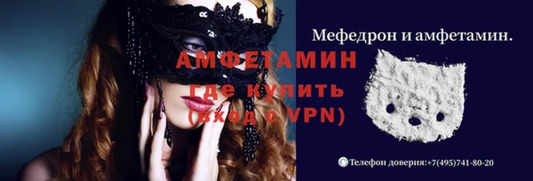 индика Гусев