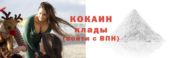 индика Гусев
