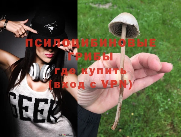 круглые Гусь-Хрустальный