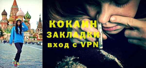 индика Гусев