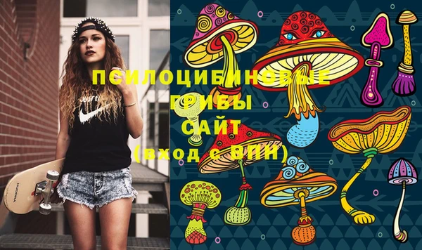 круглые Гусь-Хрустальный