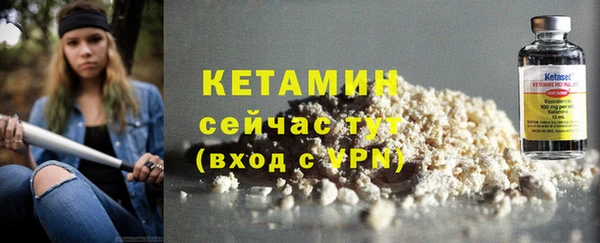 индика Гусев