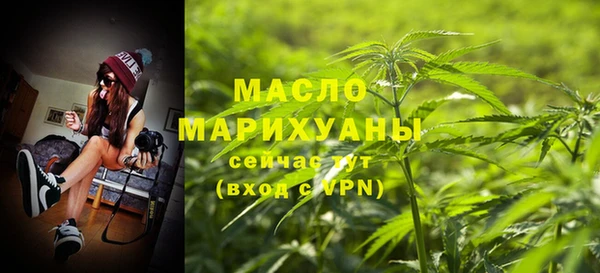 индика Гусев