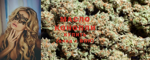 индика Гусев