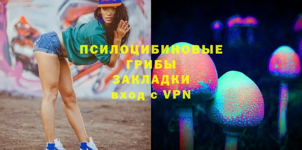 индика Гусев