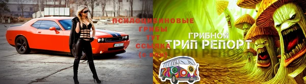spice Магас