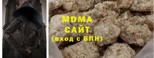 индика Гусев