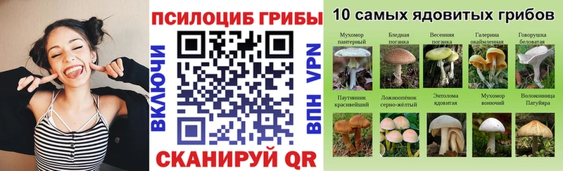 hydra   Мариинский Посад  Галлюциногенные грибы Psilocybe  цена наркотик 